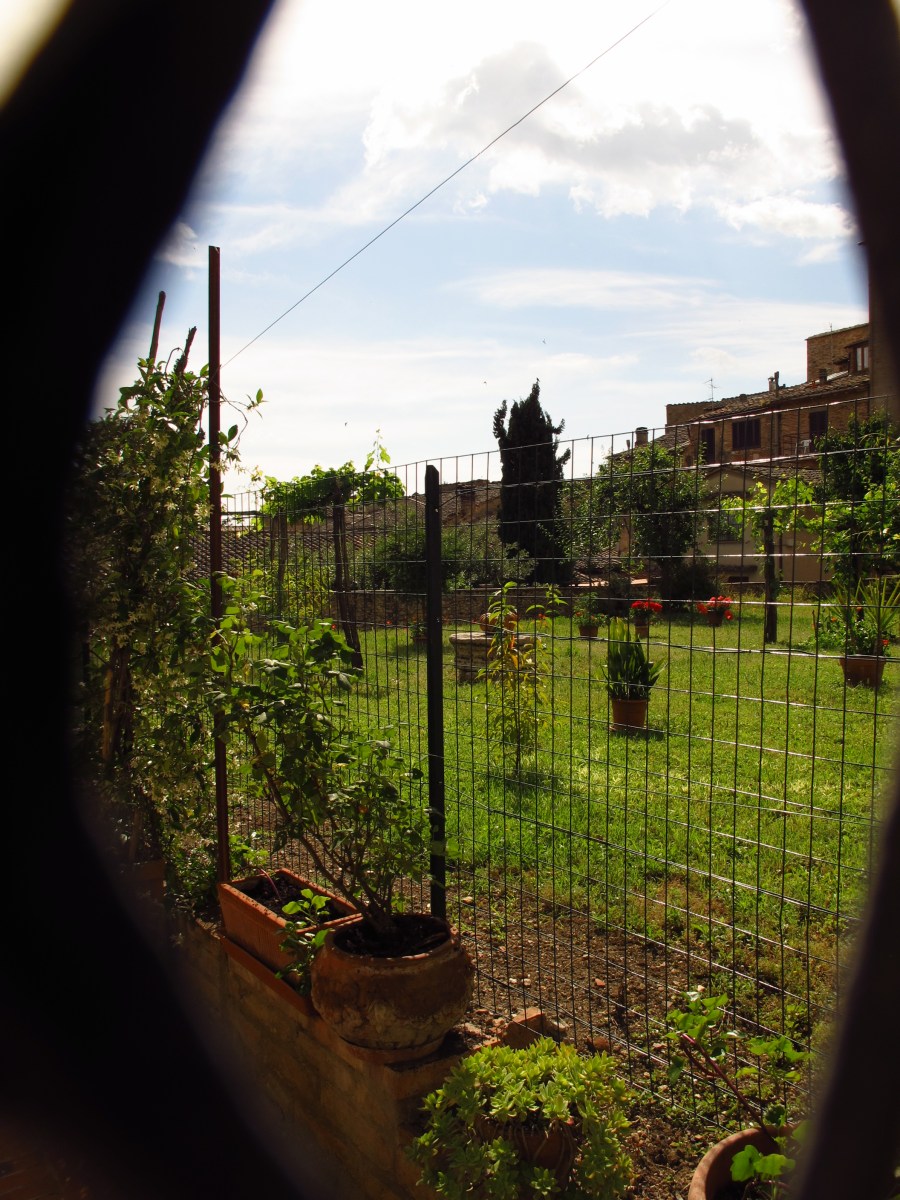 Hidden garden, San Gimignano Italy