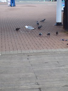 Not much left of my hotdog!