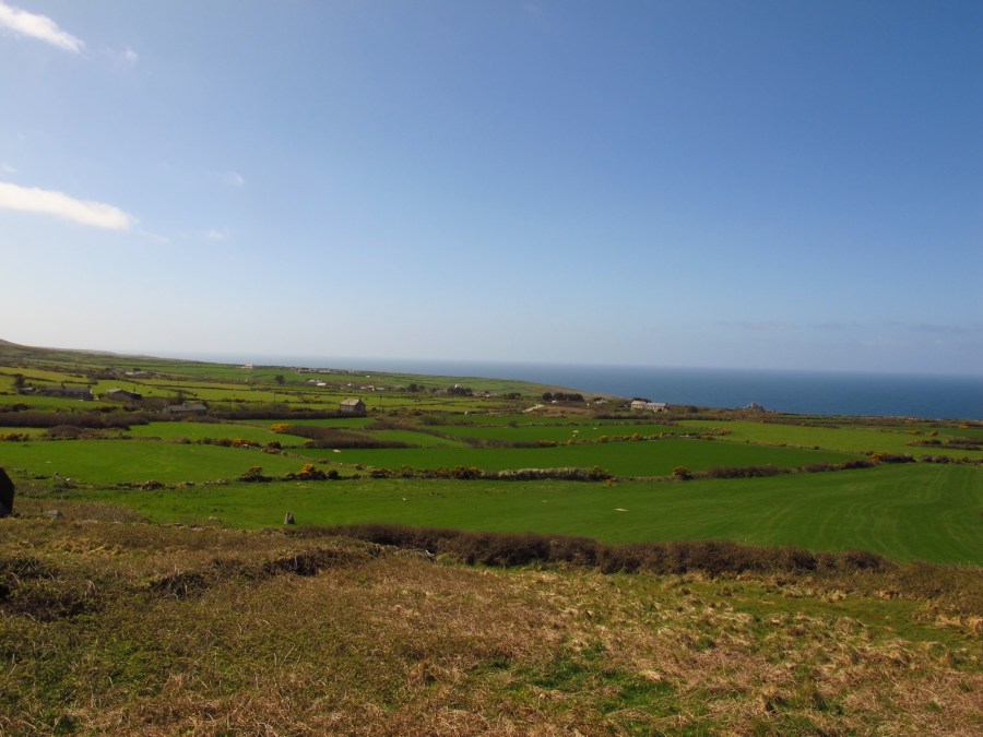 The gorgeous greens of Cornwall