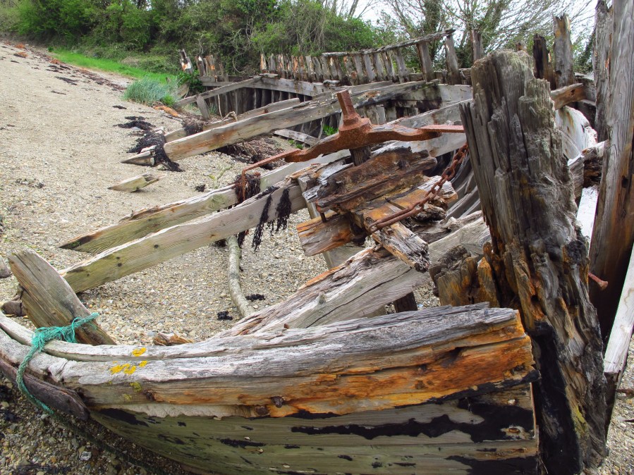 Shipwrecked!! Saltmills, Ireland