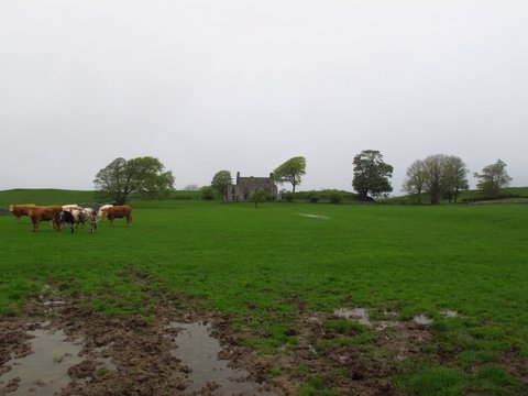 Ooooh, interesting, got to get a closer look