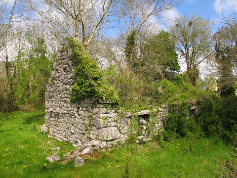 Another happy find on the way to Galway