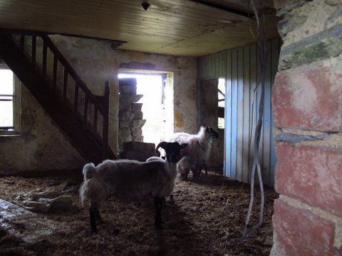 Galway in the morning