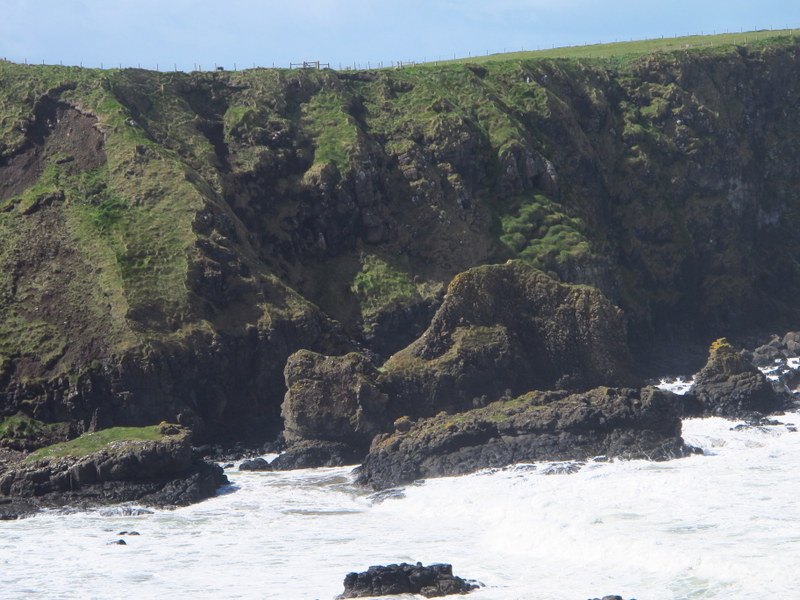 The giants camel waiting for him