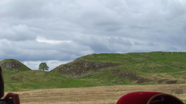 One tree pass along Hadrian's Wall