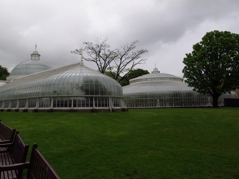 Kibble Palace greenhouse at the Botanic Gardens Glasgow