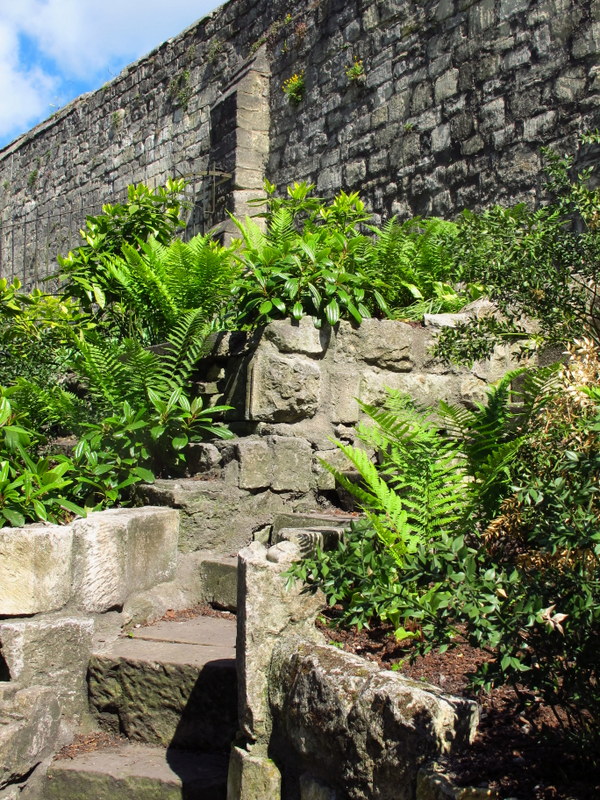 York Museum Botanical Gardens