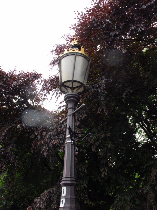 Just love the fancy street lights
