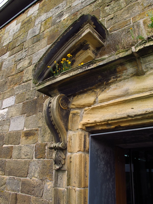 Tenacity personified