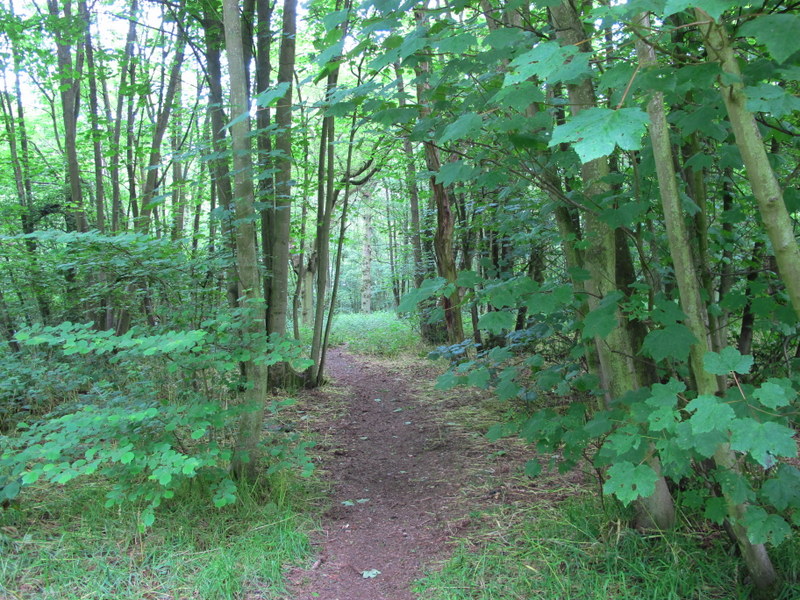 Stowe Wood, Northamptonshire