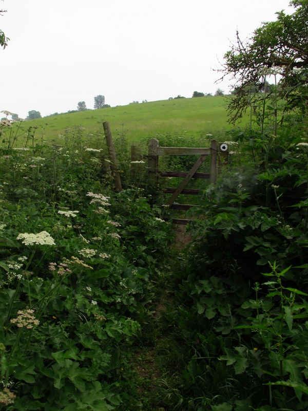 The 'footpath' between Church Stowe and Upper Stowe
