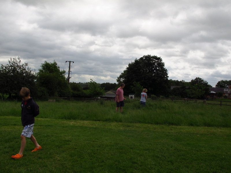 Measuring the intended cricket pitch