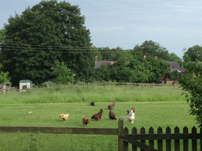 More of Elaine's girls!