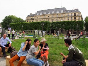 Sitting among the wildflowers near Hotel de Ville
