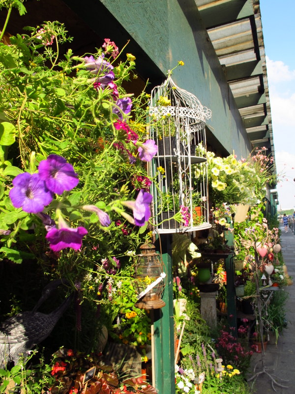 fleuriste along the seine