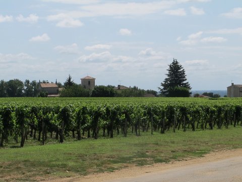 Bordeaux region of France