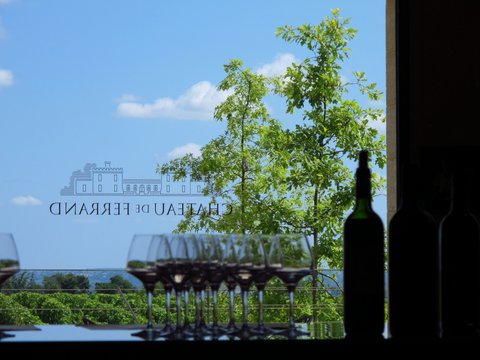 Chateau de Ferrand and wine tasting in France