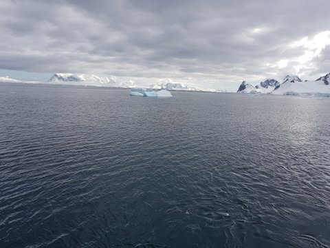 One of my first pics of icebergs and the peninsular
