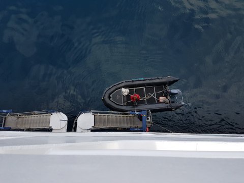 Zodiac at loading dock from above