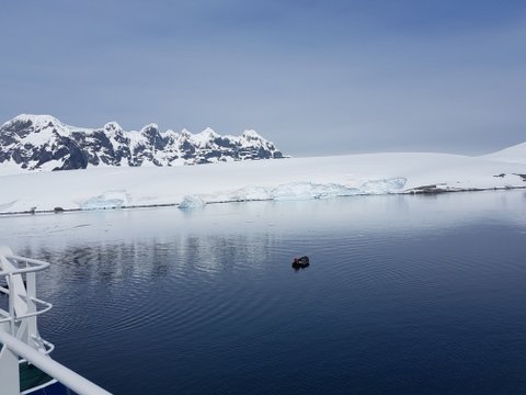 from Plancius at Damoy Pt