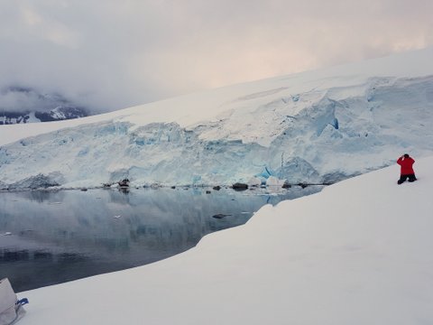 Camp site at Lefévre Point