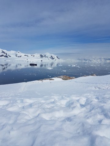 Plancius dwarfed in Neko Harbour