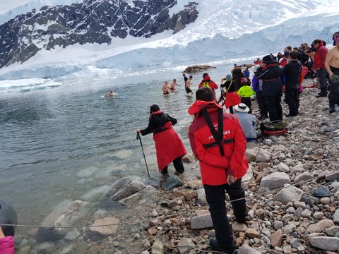 Polar plunge fun