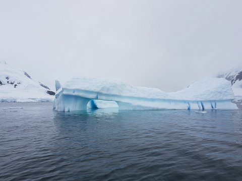 Icebergs galore