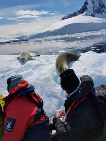One of the cutest seal faces I saw!