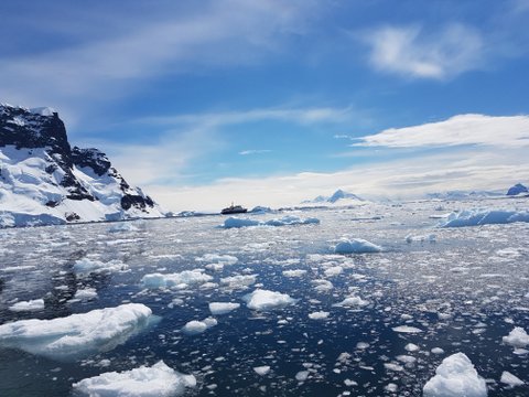 Plancius doing a lap in front of Lemaire Channel