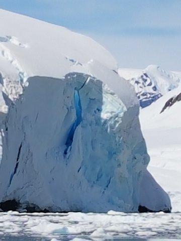 Close-up after the calving