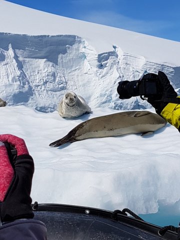 They have such cute faces!