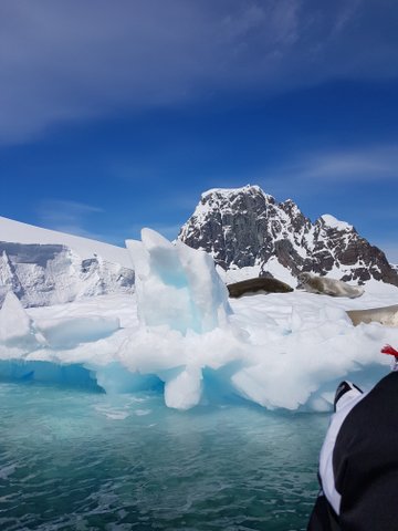 Still fascinated by the shapes and colours!