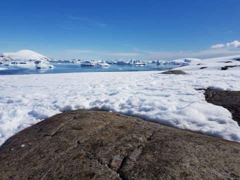 From the hill at Port Charcot