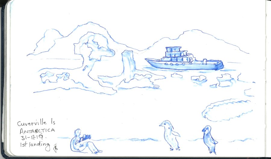 Cuverville Is. sketch