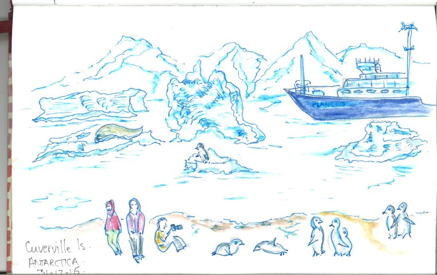 Cuverville Is. sketch