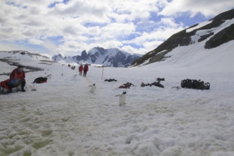 Little cuties leading the way