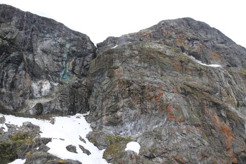 Coloured lichen near Almirante Brown station