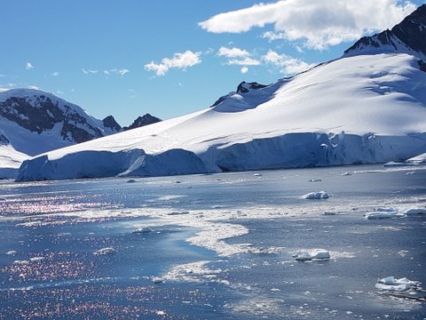 Orne Harbour Antarctica