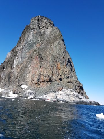 Near our landing spot at Orne Harbour