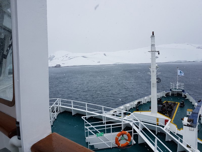 Half Moon Island Antarctica