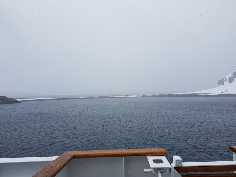 And they're still walking!