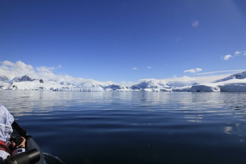 Whale watching around Enterprise Islands Antarctica