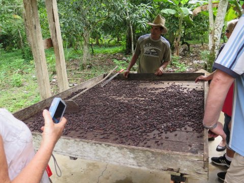 Cocoa farm tour at Baracoa