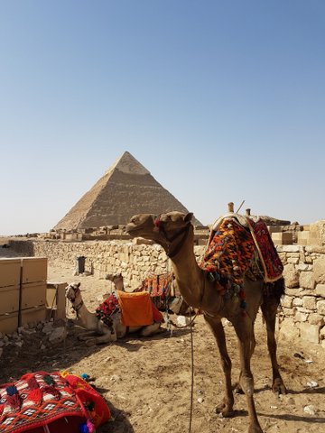 One of my favourite pics at Giza