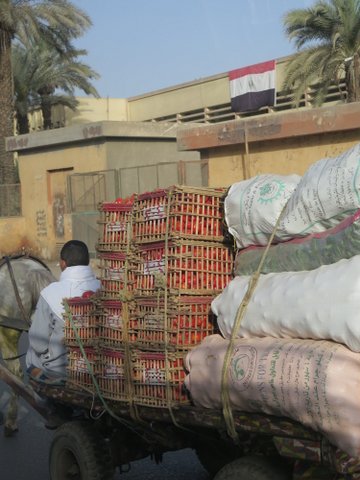 On the way to hotel at Giza