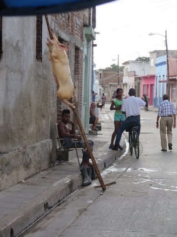 Just a pig on a stick!